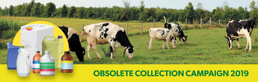 obsolete collection campaign creative